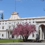 UpToYou: línea de investigación en la Universidad de Navarra